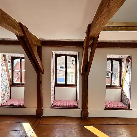 公寓 Cosy Old Town Penthouse!