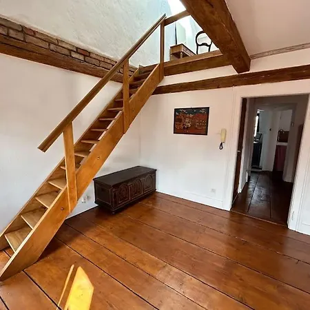 Cosy Old Town Penthouse! * Colmar