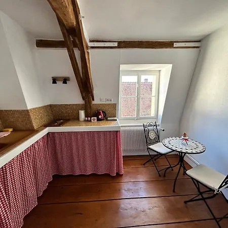Cosy Old Town Penthouse! Appartement Colmar
